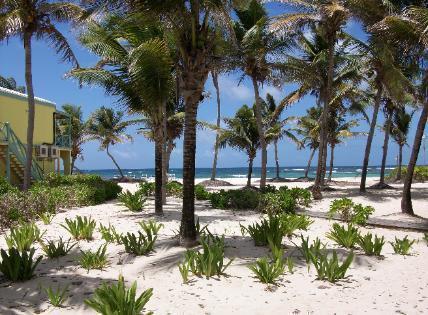Hibiscus Beach Resort Кристианстед Экстерьер фото